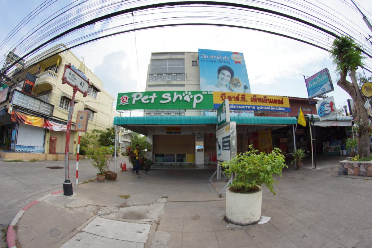 Pet Shop Hua Hin