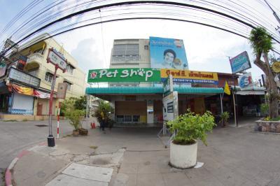 Pet Shop Hua Hin