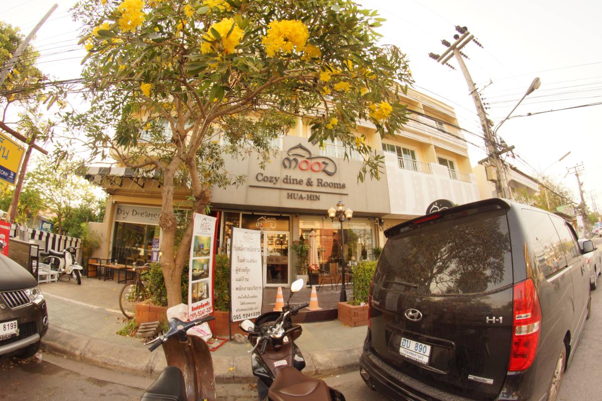Mooz Cozy Dine and Rooms
