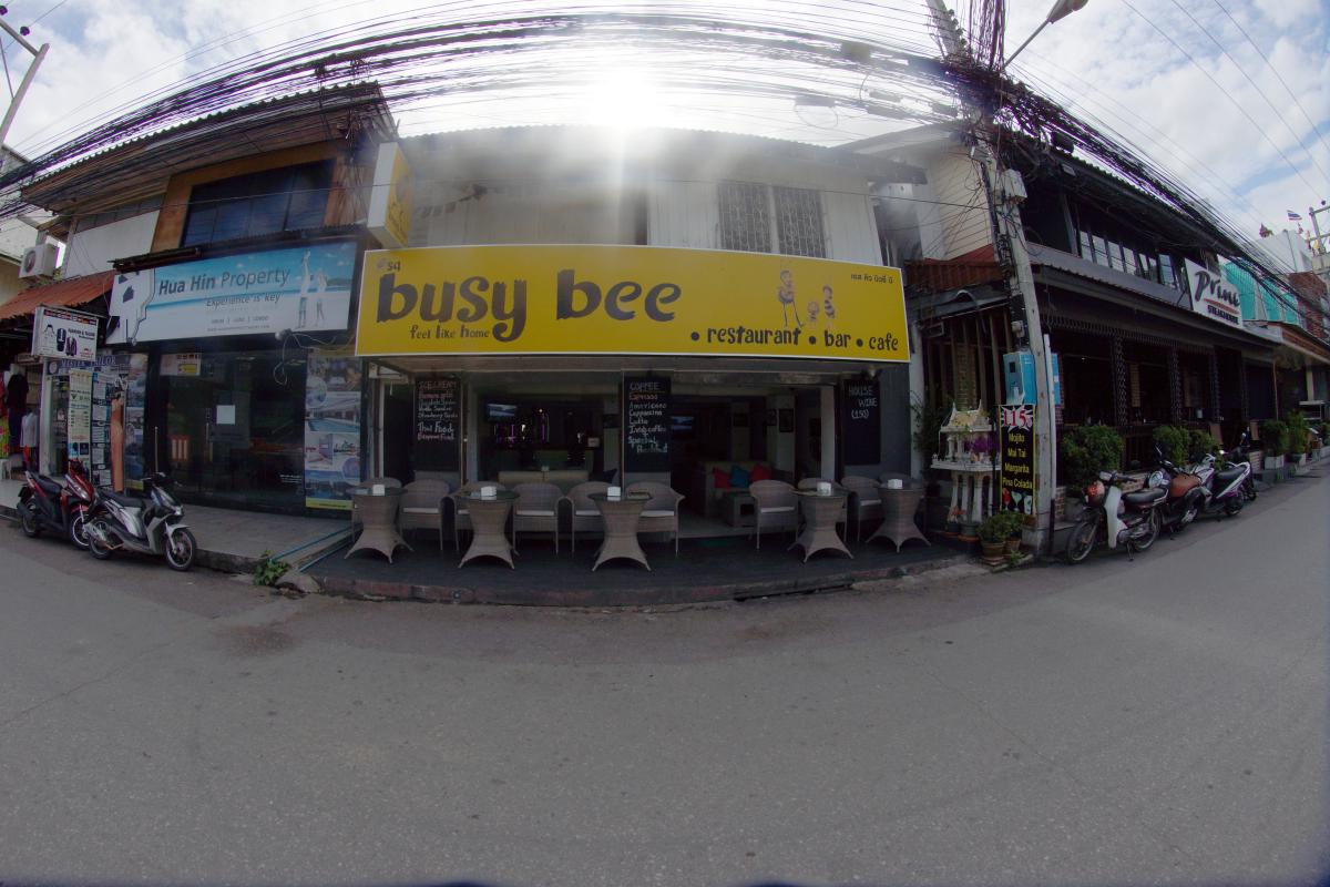 Busy Bee